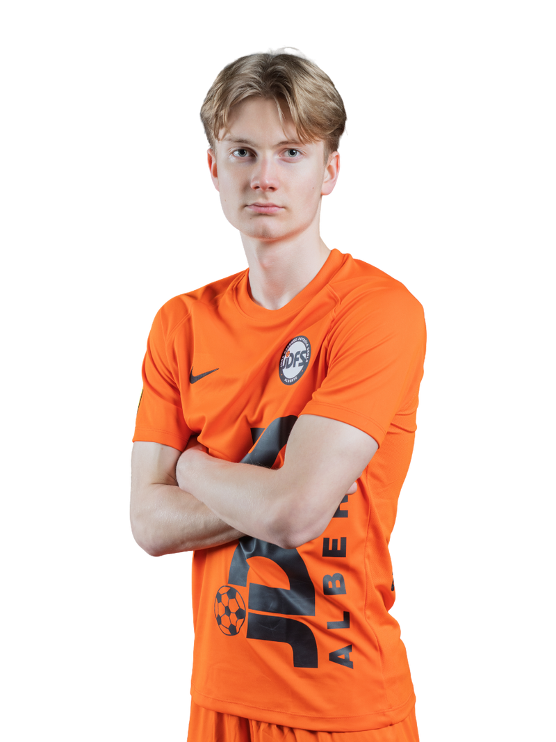 harijs vīksna